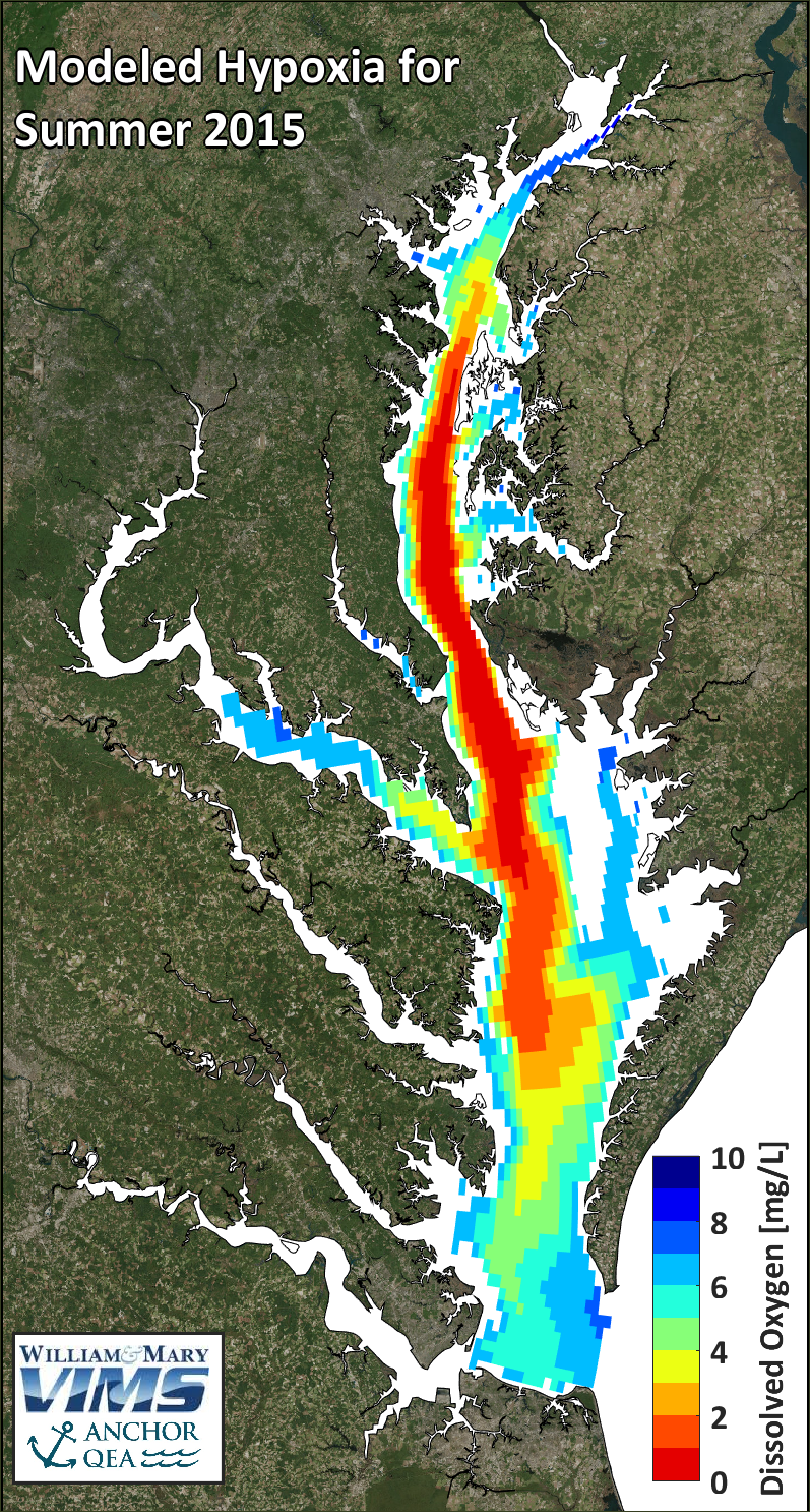 Modeled Hypoxia for Summer 2015
